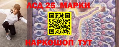тгк Новодвинск