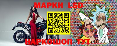 тгк Новодвинск