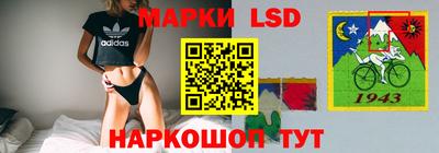 гашик Новозыбков