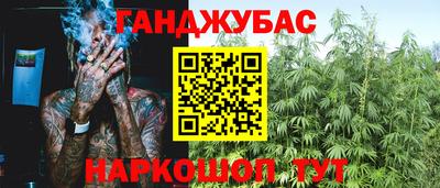 тгк Новодвинск