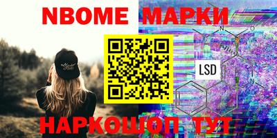 тгк Новодвинск