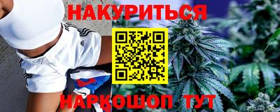 тгк Новодвинск