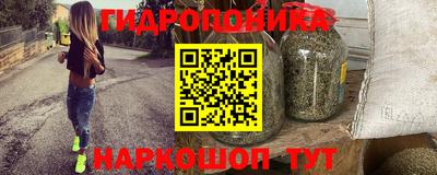тгк Новодвинск