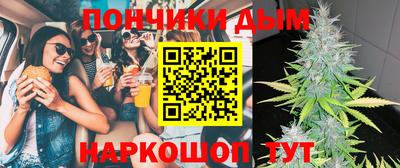тгк Новодвинск