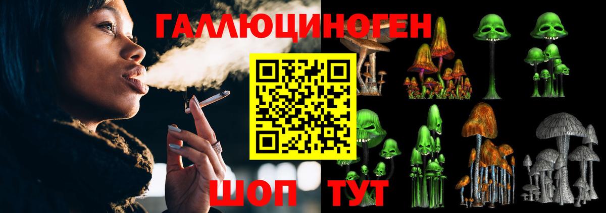 Псилоцибиновые грибы мицелий Усолье-Сибирское