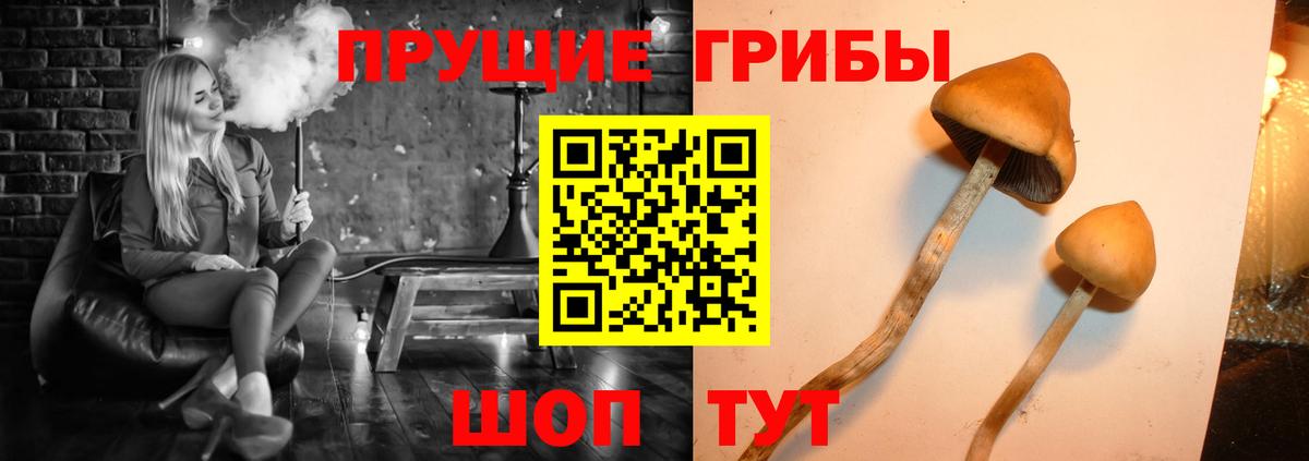 Галлюциногенные грибы мухоморы  купить   Усолье-Сибирское  Вход с VPN  Галлюциногенные грибы ЛСД 